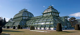 Palmenhaus