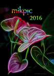 Kalender 2016